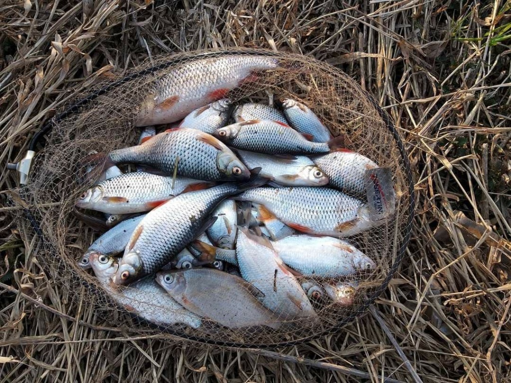 Ловля в проводку ранней весной  (6).jpg